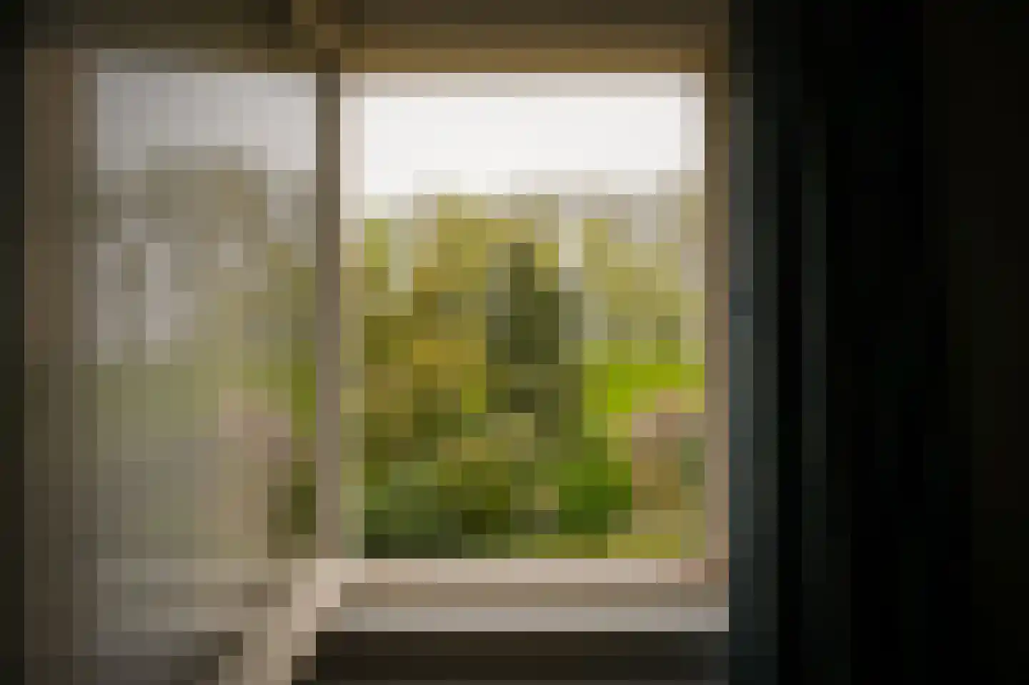 Dorpsstraat 108 Wamel thumbnail 35