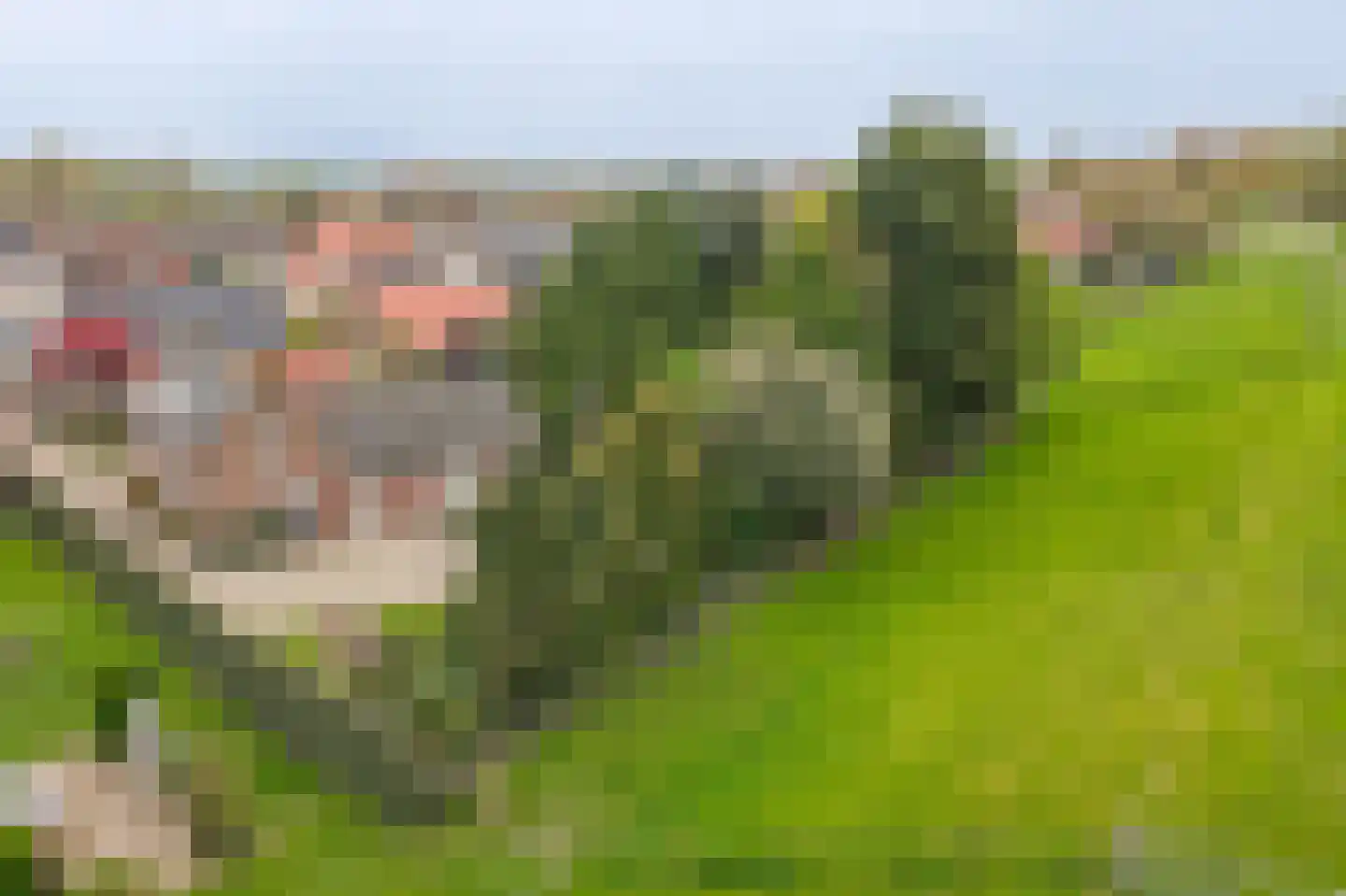 Dorpsstraat 108 Wamel thumbnail 5