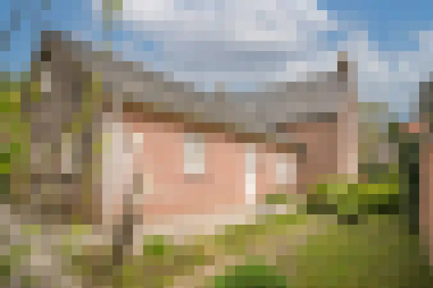 Dorpsstraat 108 Wamel thumbnail 53