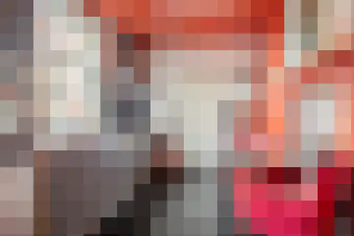 Dorpsstraat 11 Angerlo thumbnail 12
