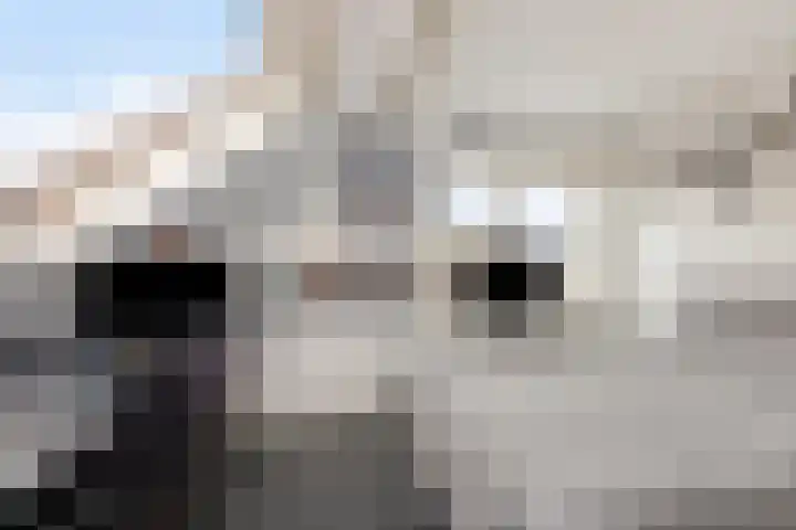 Dorpsstraat 11 Angerlo thumbnail 20