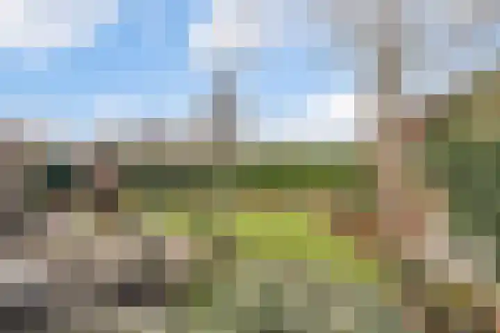 Dorpsstraat 11 Angerlo thumbnail 25