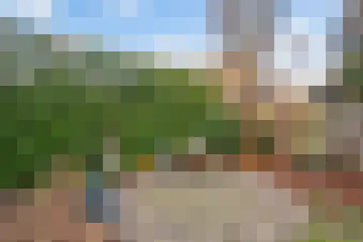 Dorpsstraat 11 Angerlo thumbnail 27