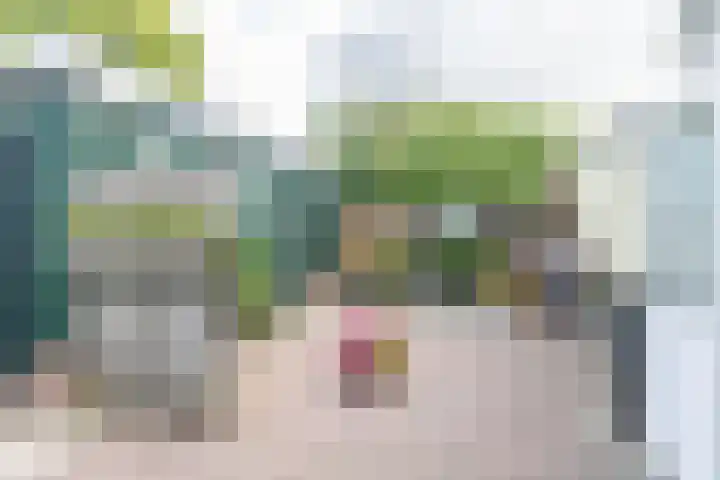 Dorpsstraat 11 Assendelft thumbnail 12