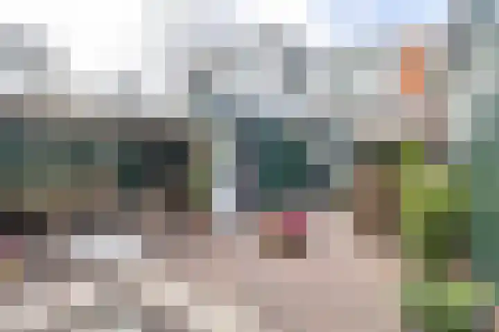 Dorpsstraat 11 Assendelft thumbnail 13