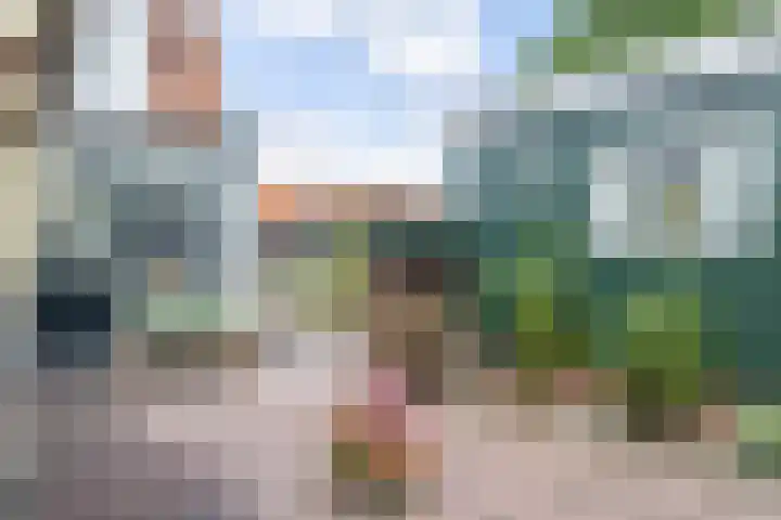 Dorpsstraat 11 Assendelft thumbnail 16