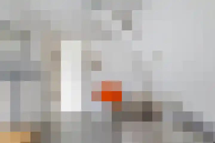 Dorpsstraat 11 Assendelft thumbnail 24