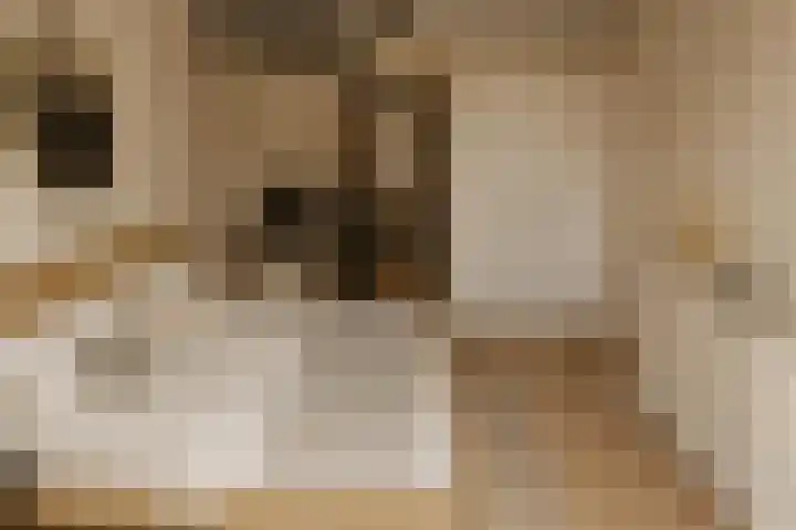 Dorpsstraat 11 B Noordwijkerhout thumbnail 10