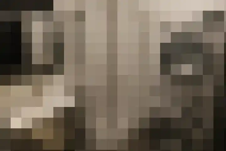 Dorpsstraat 11 B Noordwijkerhout thumbnail 5