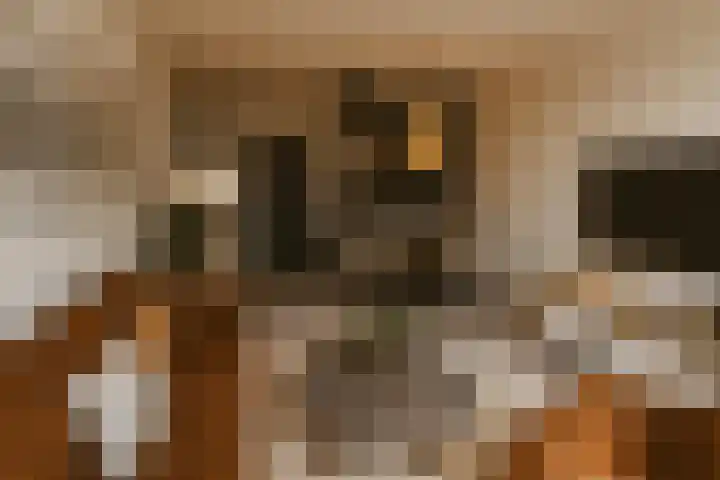 Dorpsstraat 11 B Noordwijkerhout thumbnail 9