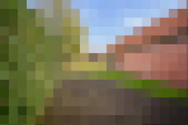 Dorpsstraat 11 Beltrum thumbnail 37
