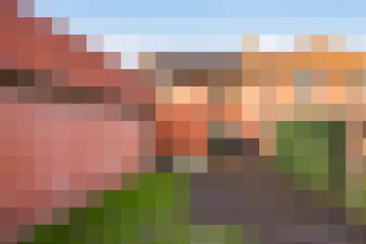 Dorpsstraat 11 Beltrum thumbnail 38