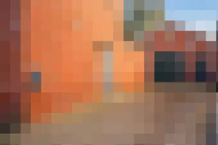 Dorpsstraat 11 Beltrum thumbnail 5