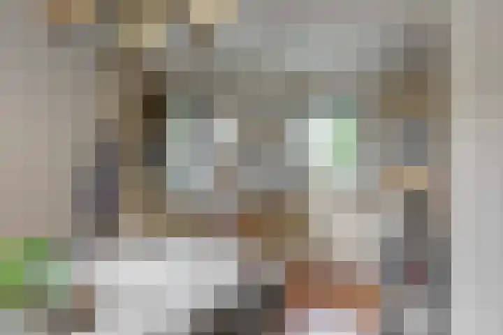 Dorpsstraat 11 Heteren thumbnail 11