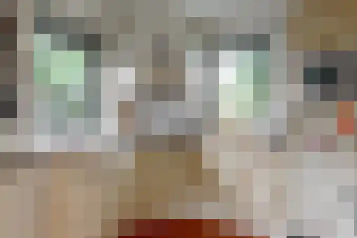 Dorpsstraat 11 Heteren thumbnail 12