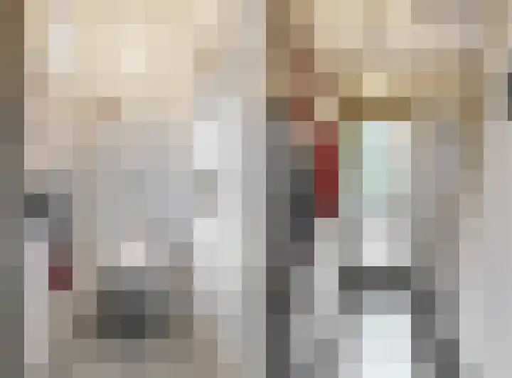 Dorpsstraat 11 Heteren thumbnail 13