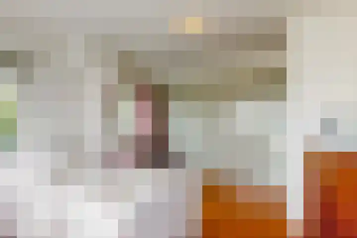 Dorpsstraat 11 Heteren thumbnail 17