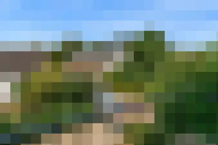 Dorpsstraat 11 Heteren thumbnail 23