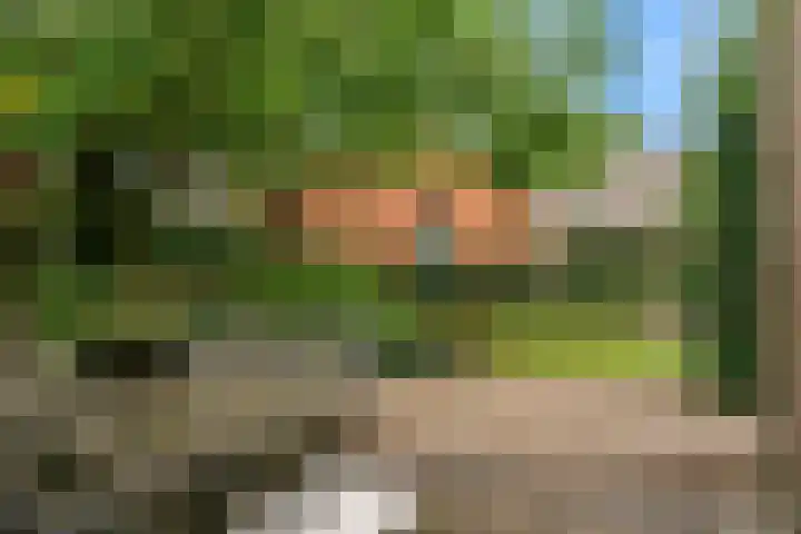 Dorpsstraat 11 Heteren thumbnail 24