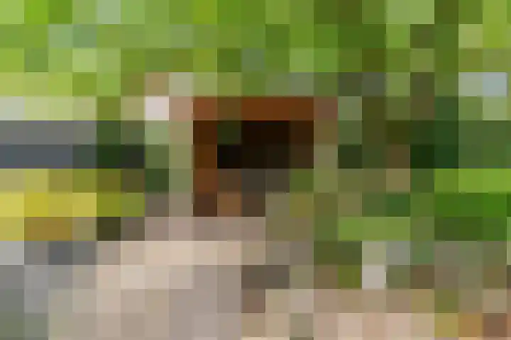 Dorpsstraat 11 Heteren thumbnail 25