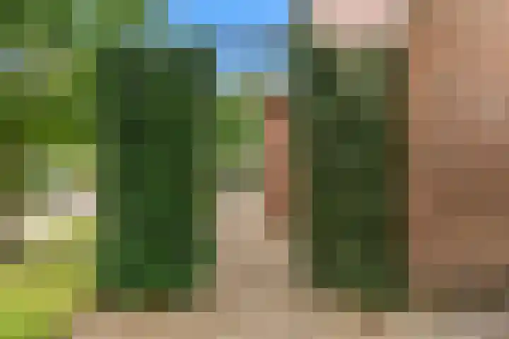 Dorpsstraat 11 Heteren thumbnail 26
