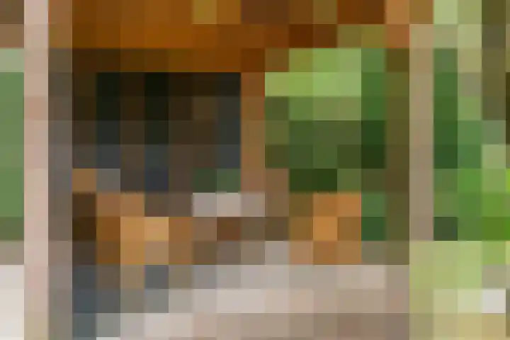 Dorpsstraat 11 Heteren thumbnail 27