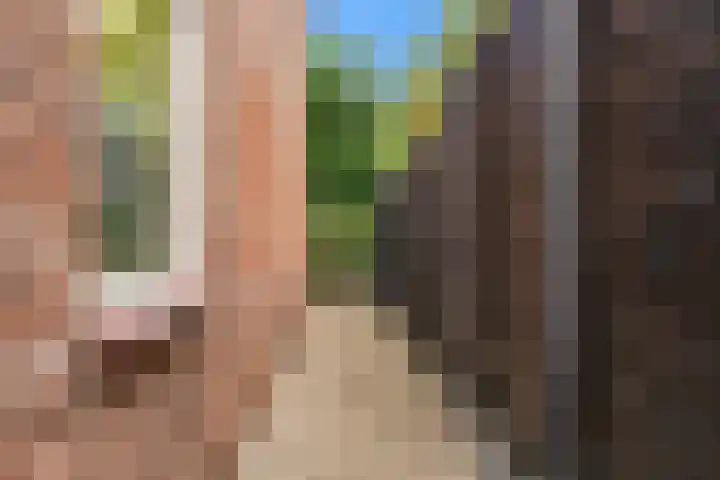 Dorpsstraat 11 Heteren thumbnail 28