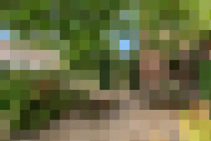 Dorpsstraat 11 Heteren thumbnail 31
