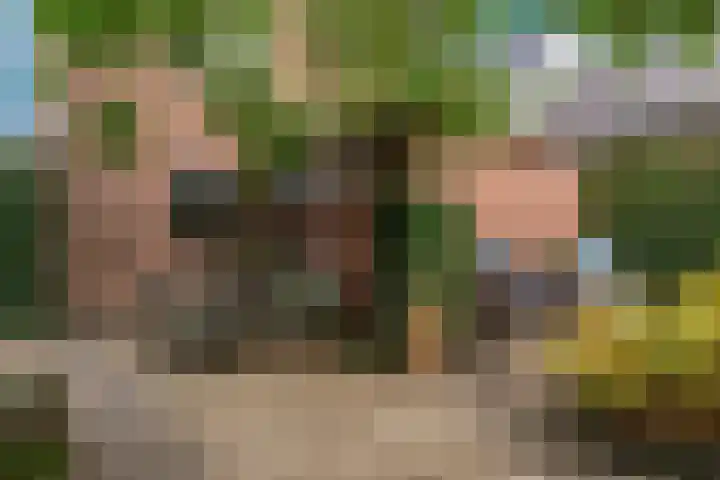 Dorpsstraat 11 Heteren thumbnail 32