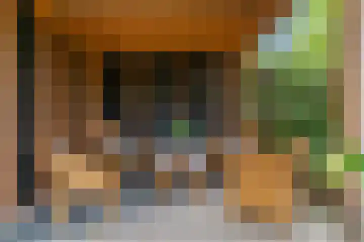 Dorpsstraat 11 Heteren thumbnail 33