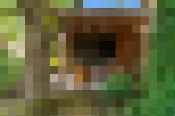 Dorpsstraat 11 Heteren thumbnail 34
