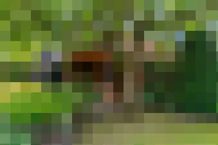Dorpsstraat 11 Heteren thumbnail 35