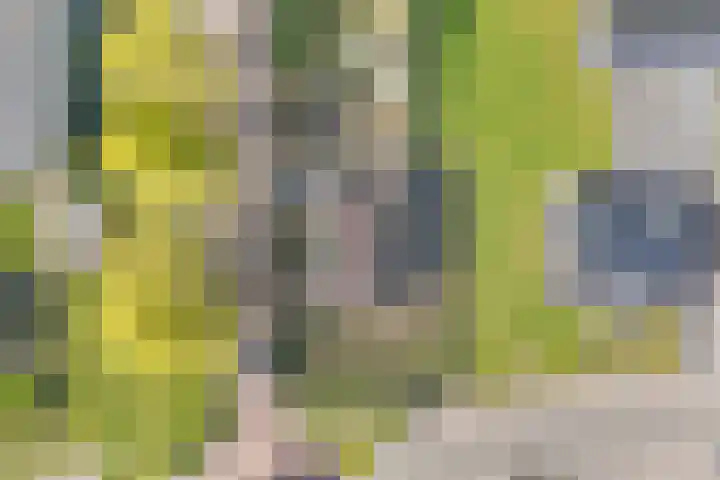 Dorpsstraat 11 Koekange thumbnail 63