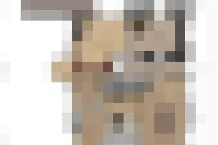 Dorpsstraat 11 Koekange thumbnail 64