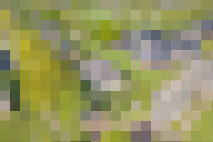 Dorpsstraat 11 Koekange thumbnail 8