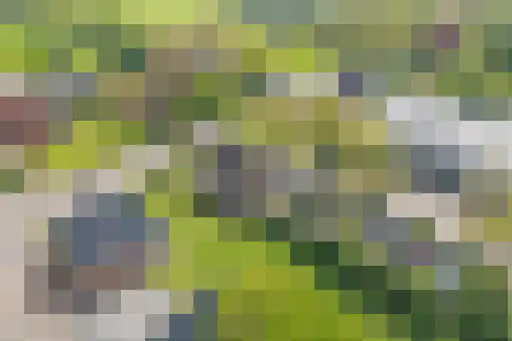 Dorpsstraat 11 Koekange thumbnail 9