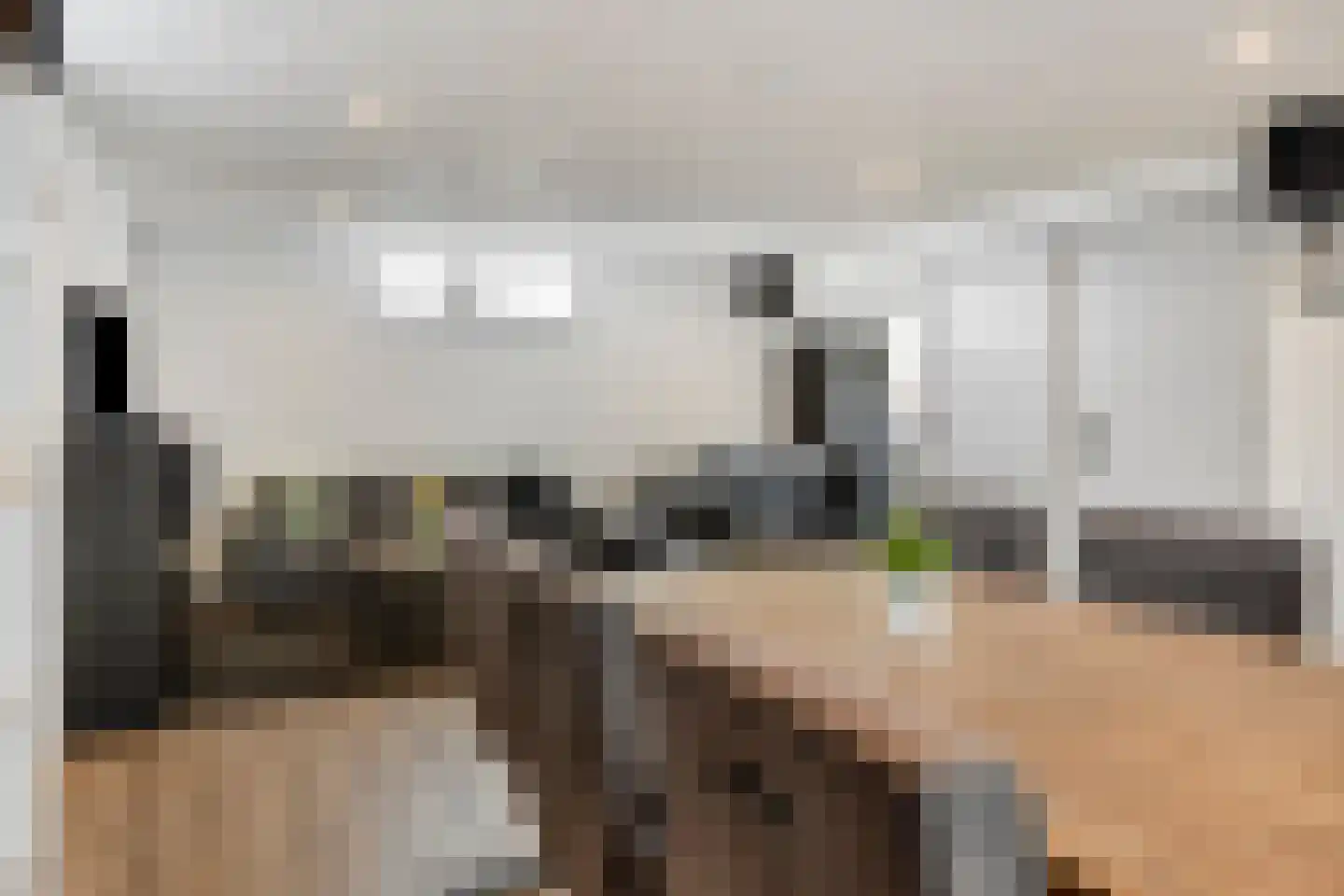 Dorpsstraat 11 Rijswijk (NB) thumbnail 40