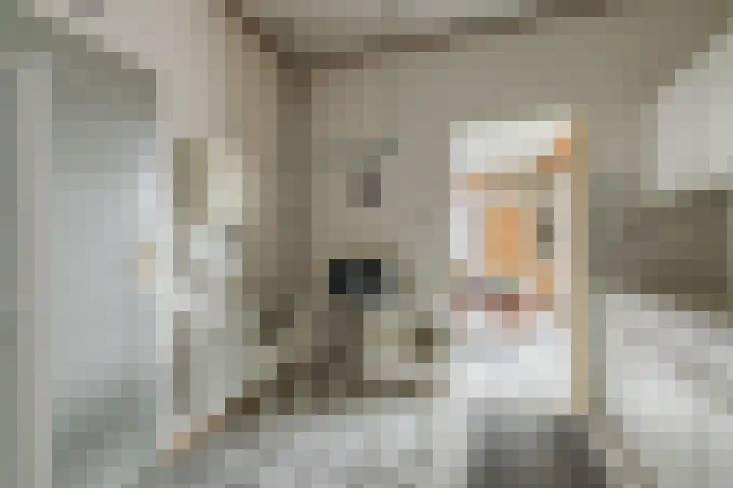 Dorpsstraat 11 St. Willebrord thumbnail 14