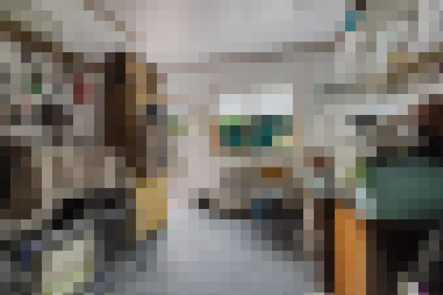 Dorpsstraat 11 St. Willebrord thumbnail 23