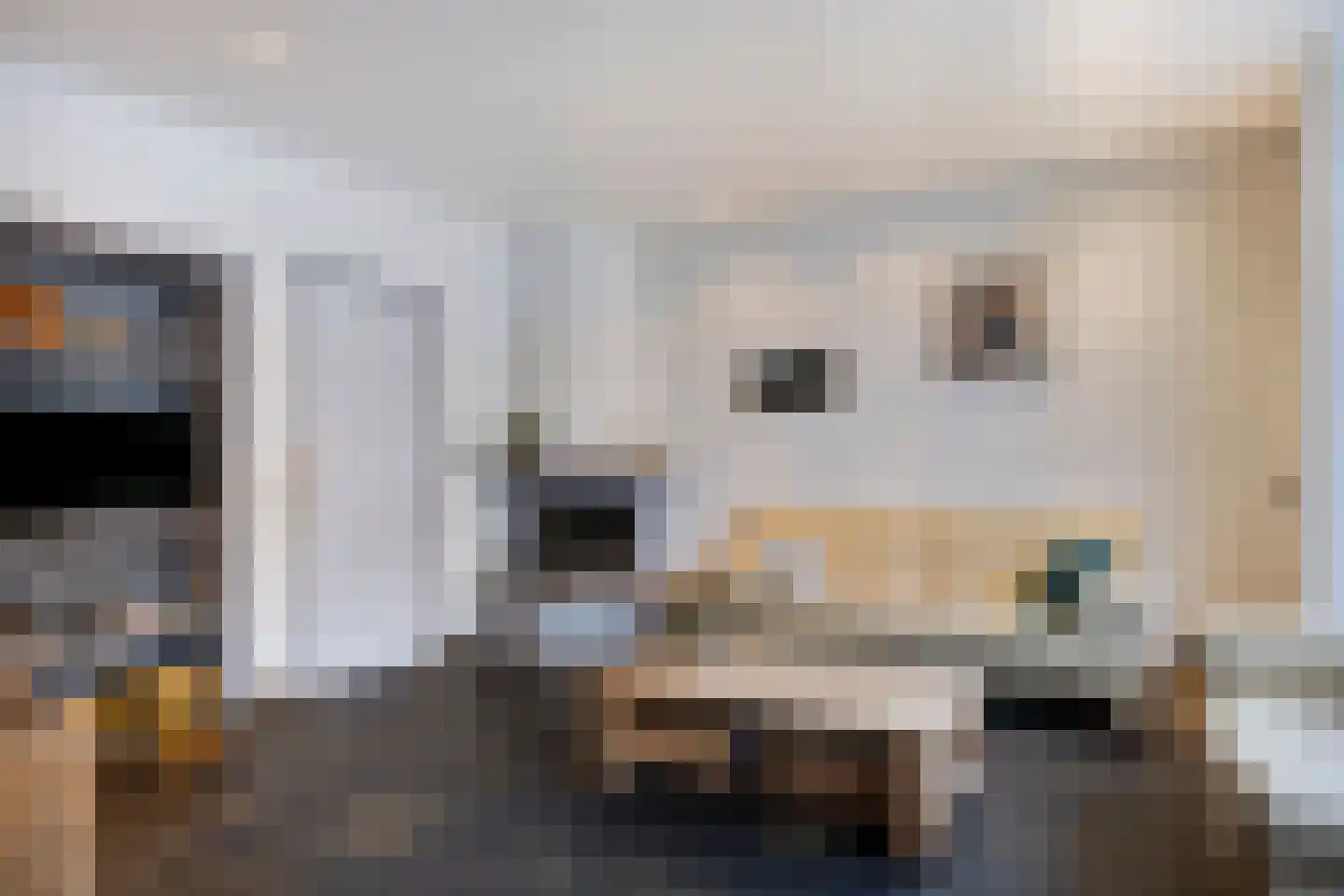 Dorpsstraat 11 Vorden thumbnail 19