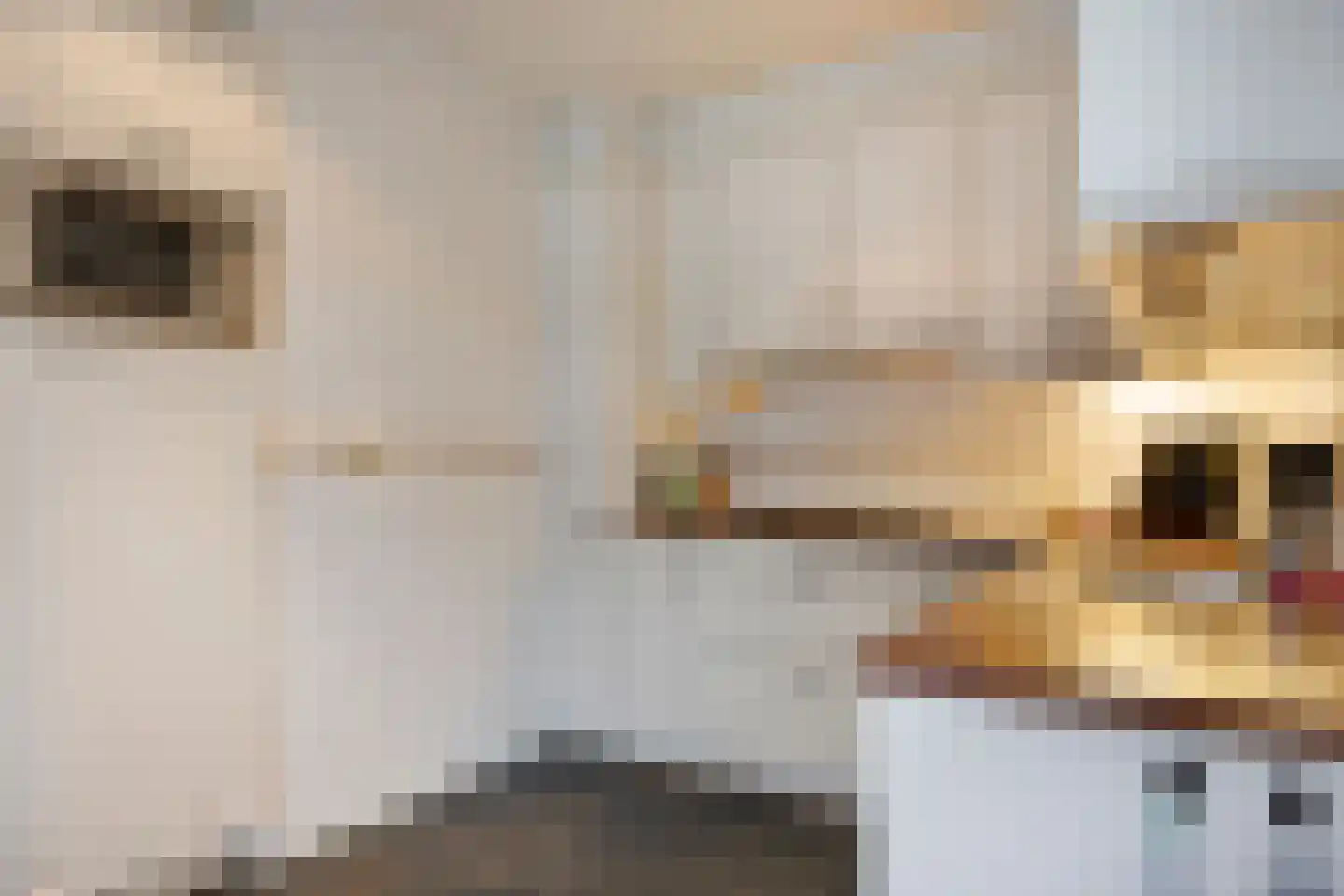 Dorpsstraat 11 Vorden thumbnail 22