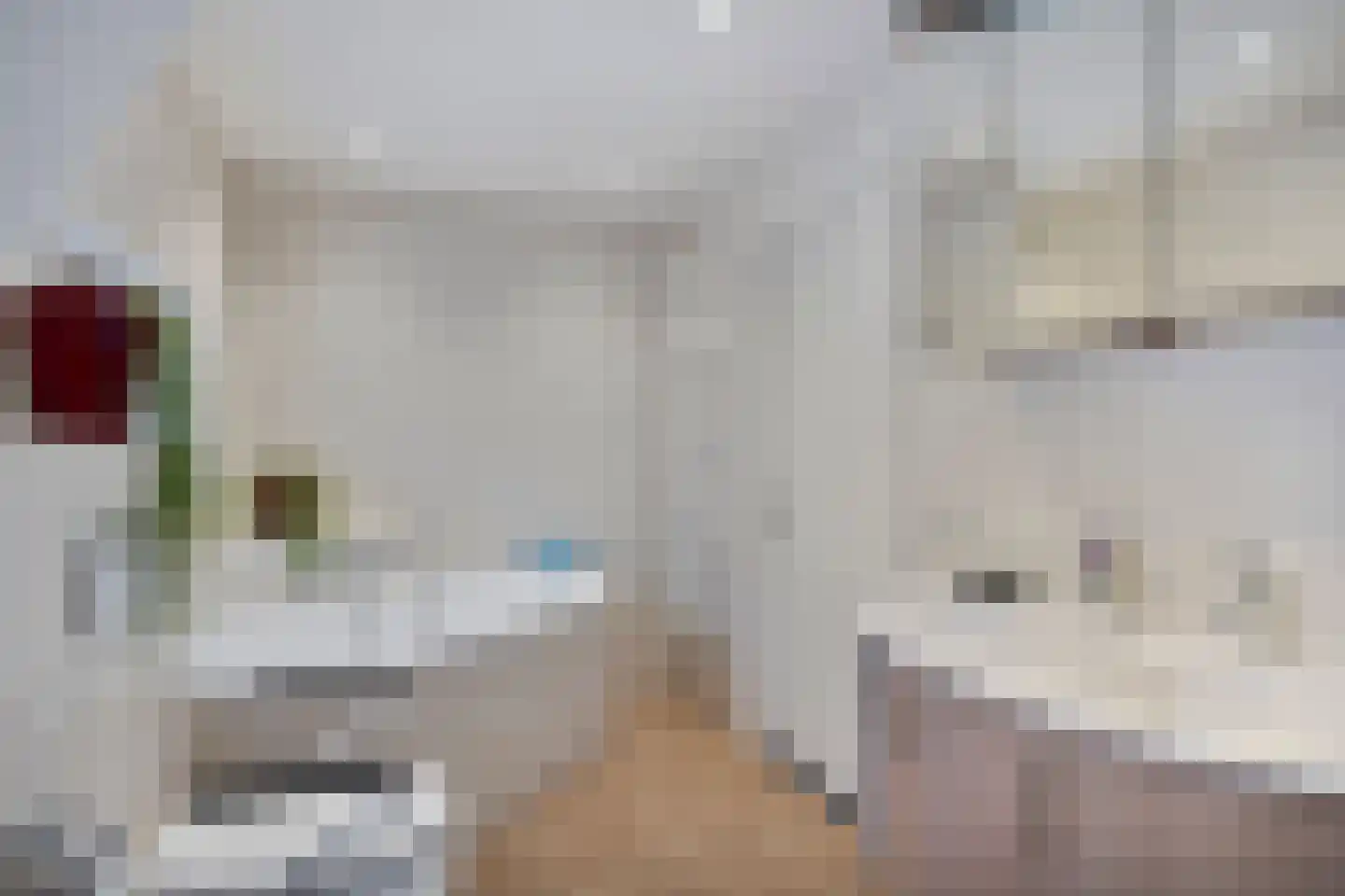 Dorpsstraat 11 Vorden thumbnail 33