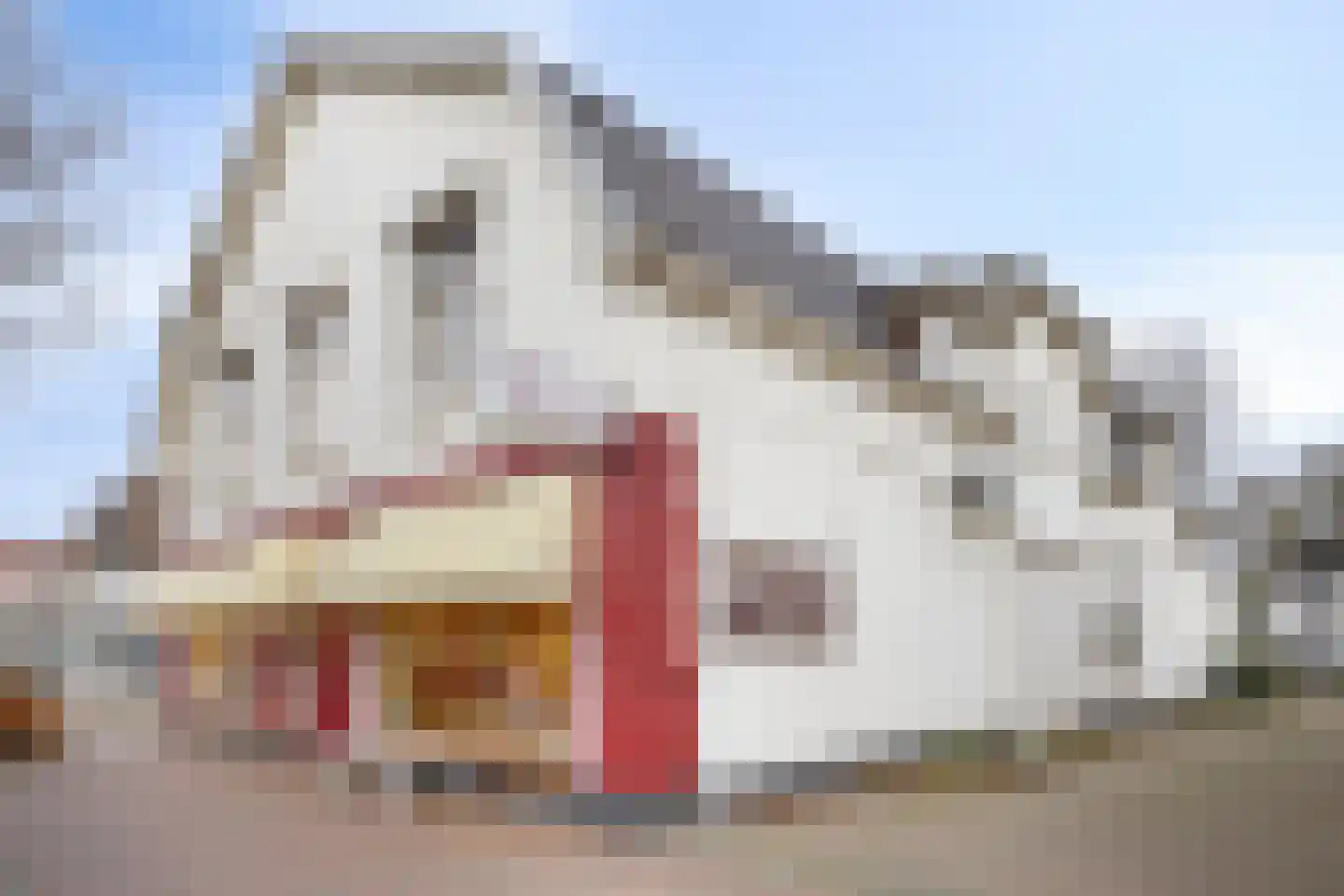 Dorpsstraat 11 Vorden thumbnail 45