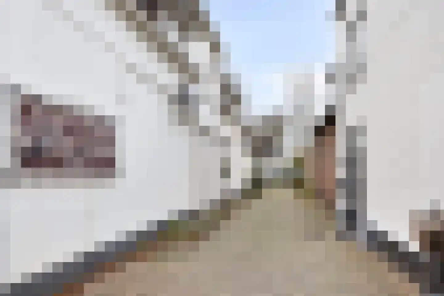 Dorpsstraat 11 Vorden thumbnail 46