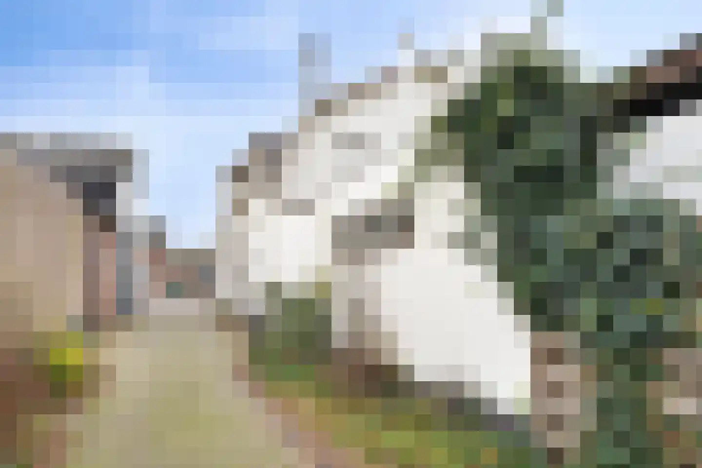 Dorpsstraat 11 Vorden thumbnail 47