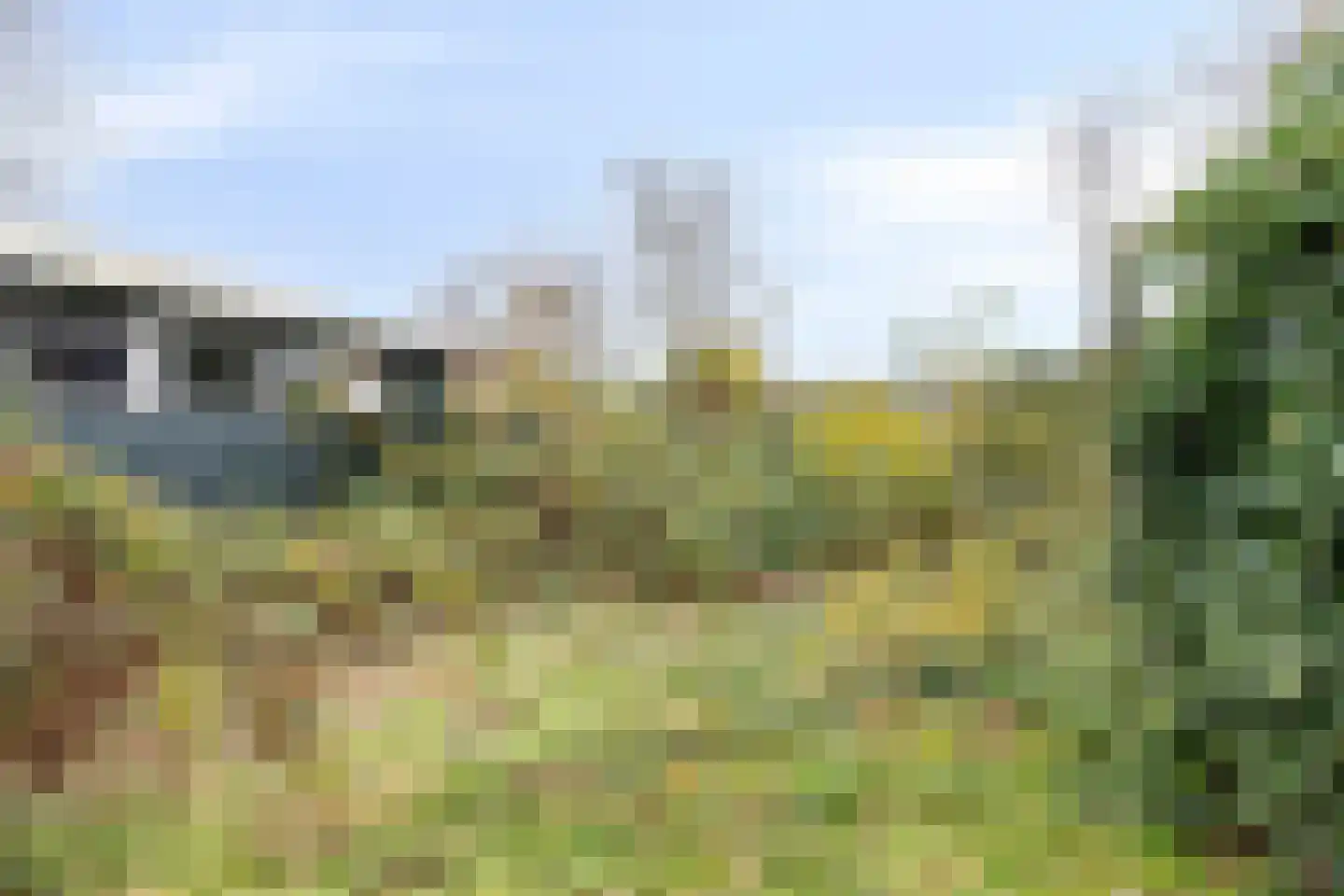 Dorpsstraat 11 Vorden thumbnail 48