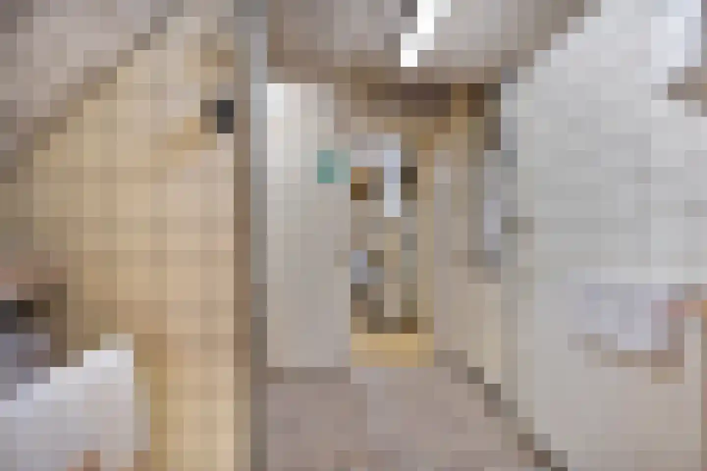 Dorpsstraat 11 Vorden thumbnail 9