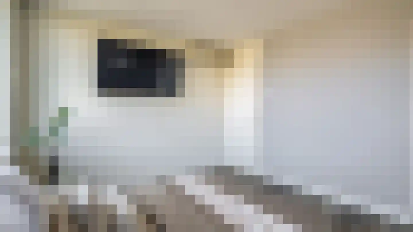 Dorpsstraat 11 Zegveld thumbnail 13