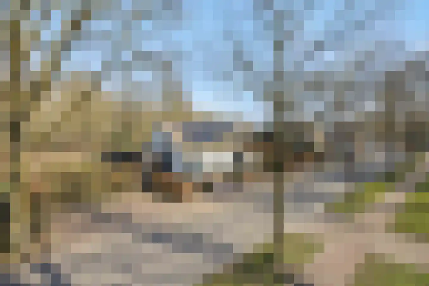Dorpsstraat 110 Lieshout thumbnail 12