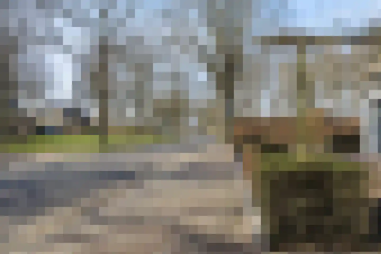 Dorpsstraat 110 Lieshout thumbnail 15